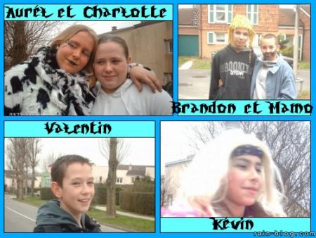 montage carna